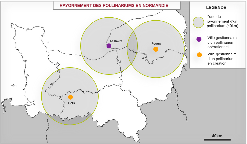 Rayonnement des pollinariums en Normandie