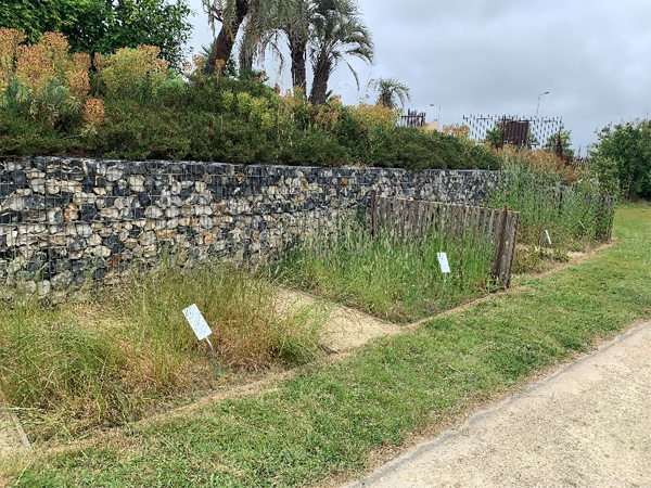 Pollinarium du Havre